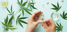 CBD. Épicure au compte-gouttes
