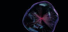 “Cellule sentiente”