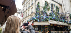 Façades végétalisées : perpétuel printemps, invisible tristesse