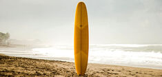 Faut-il rémunérer les surfeurs ?