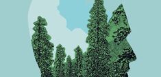 Pourquoi nous promenons-nous dans les bois ?