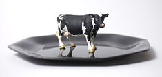 Viande de synthèse : une fausse bonne idée ?