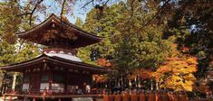 Voyage dans les montagnes sacrées du Japon