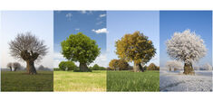 “Y’a plus de saisons !”