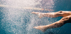 Comme des poissons dans l’eau ?