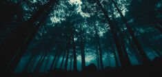 Peut-on ne pas aimer la nature ?