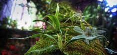 L’écologie peut-elle s’inviter dans le cockpit?