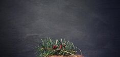 Réveillon, bonne chère et joyeuses fêtes? 