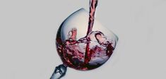 Roger Scruton : “Le vin propage ses rêves en nous”