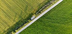 L’europe, les Verts et André Gorz