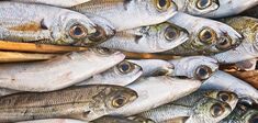 La politique des sardines