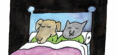 “Je voudrais savoir pourquoi les chiens chassent les chats, alors qu’ils ne les mangent pas”