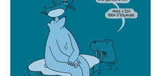 Un drôle d’oiseau