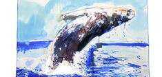 Au balcon des baleines