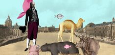 La translation des animaux