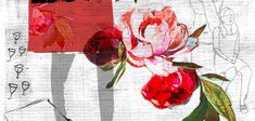 Les Pivoines