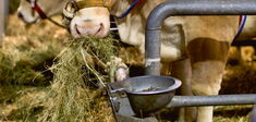 À la recherche de la ruralité perdue