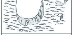 Un îlot de certitudes dans une mer d'illusions