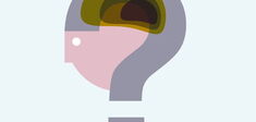 Test. Et vous, quelle est votre IP (intelligence philosophique) ?
