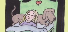 Les animaux ont-ils des sentiments ?