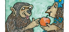 Comment l’homme descend-il du singe ?
