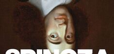 Spinoza. Voir le monde autrement