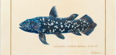 Bleu profond