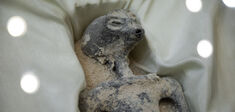 Pourquoi les extraterrestres devraient-ils nous ressembler ?