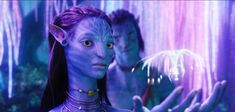 Le mythe “Avatar” vu par Philippe Nassif
