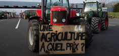 Malaise paysan : la bourse ou l’épi
