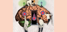 “Cerveau reptilien” : origine et persistance d’une erreur scientifique