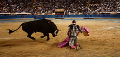 “Finalement, c’est non” : comment j’ai changé d’avis sur la corrida