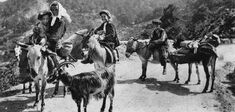 Voyage au cœur de l’hospitalité corse