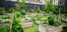 L’agriculture urbaine est-elle une utopie ?