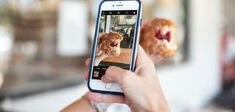 BeReal : l’ordinaire contre le spectaculaire ?
