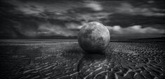 Végétaliser la Lune ?