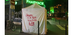 Du mensonge à la violence en temps de Covid