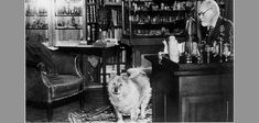 Quand un chien aidait Freud à psychanalyser ses patients