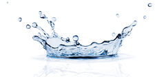 Marins d’eau douce