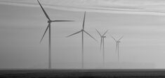 Virginie Maris : “Les éoliennes sont le symptôme d’un mal profond”