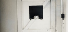 Un inceste peut-il (vraiment) être consenti ?