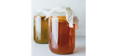 Kombucha. Les ferments de la rébellion