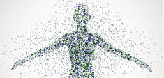 Le métabolisme, au fait, qu'est-ce que c'est ?