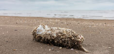 Vivre dans les ruines du plastique ?