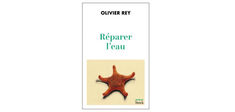 Olivier Rey : “Il faut commencer par réparer l’eau, afin qu’elle puisse à nouveau nourrir nos rêves”