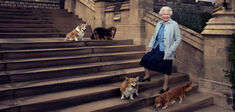 God Save The Corgis