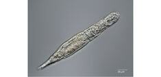24 000 ans dans le permafrost