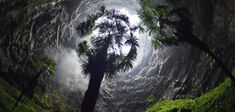 “Tiankeng” : sous le sol, la forêt vierge