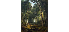 Traverser la lisière