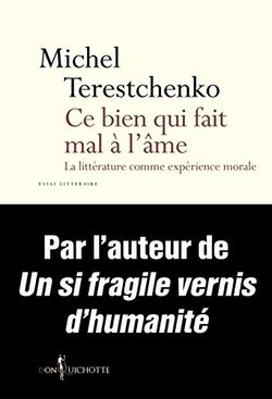 Ce bien qui fait mal à l'âme. La littérature comme expérience morale